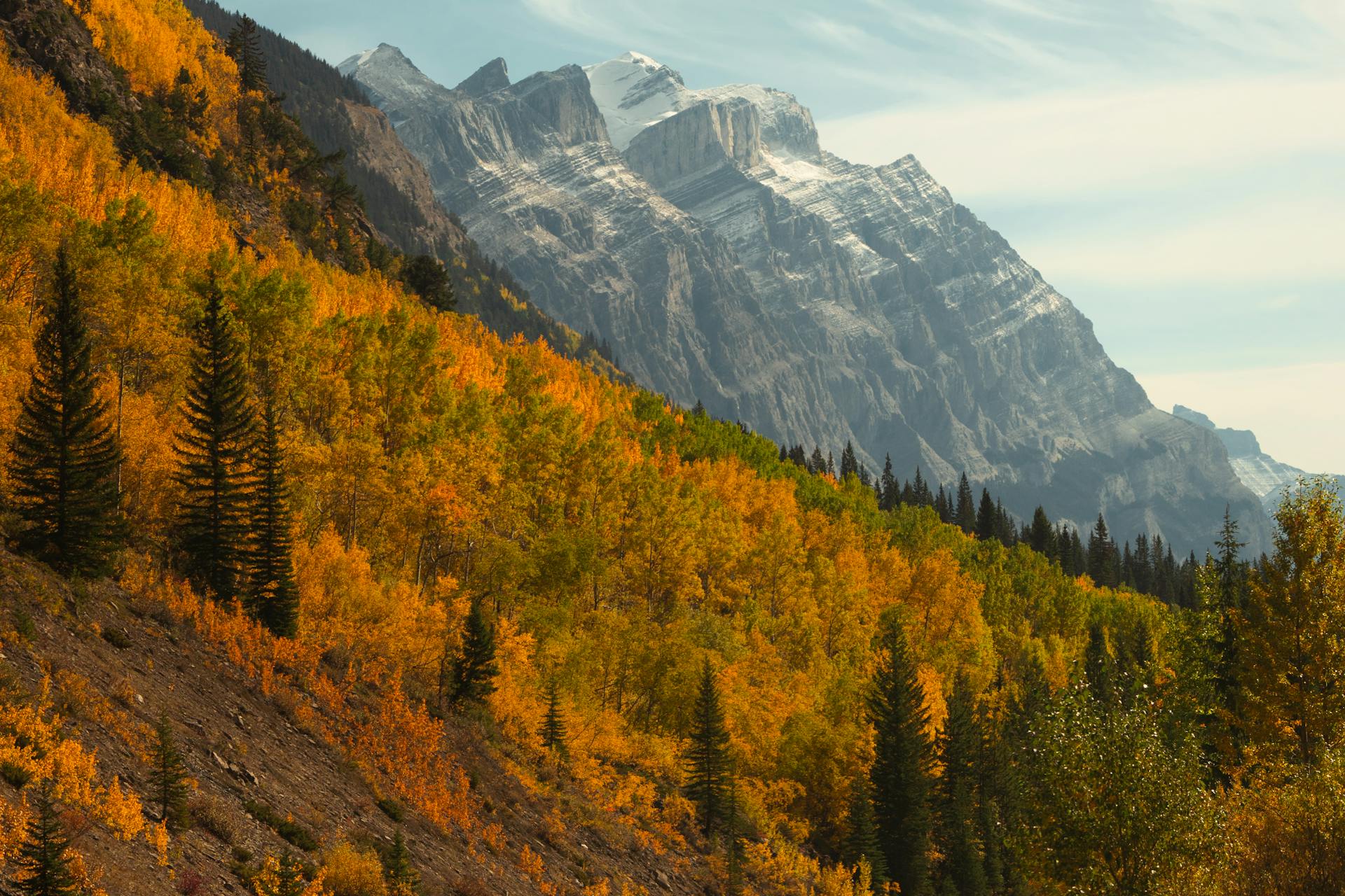Montenegro in Autumn: Foliage Drives and Harvest Festivals