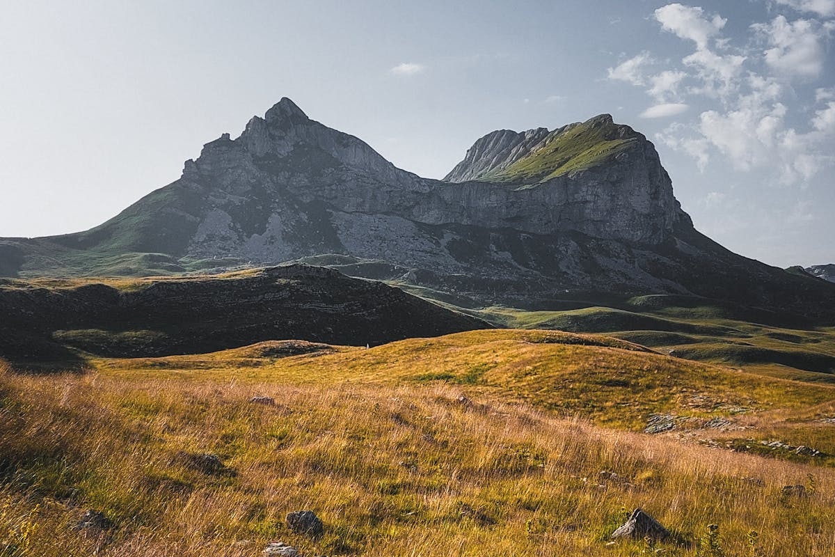 Forest trail inside Biogradska Gora National Park