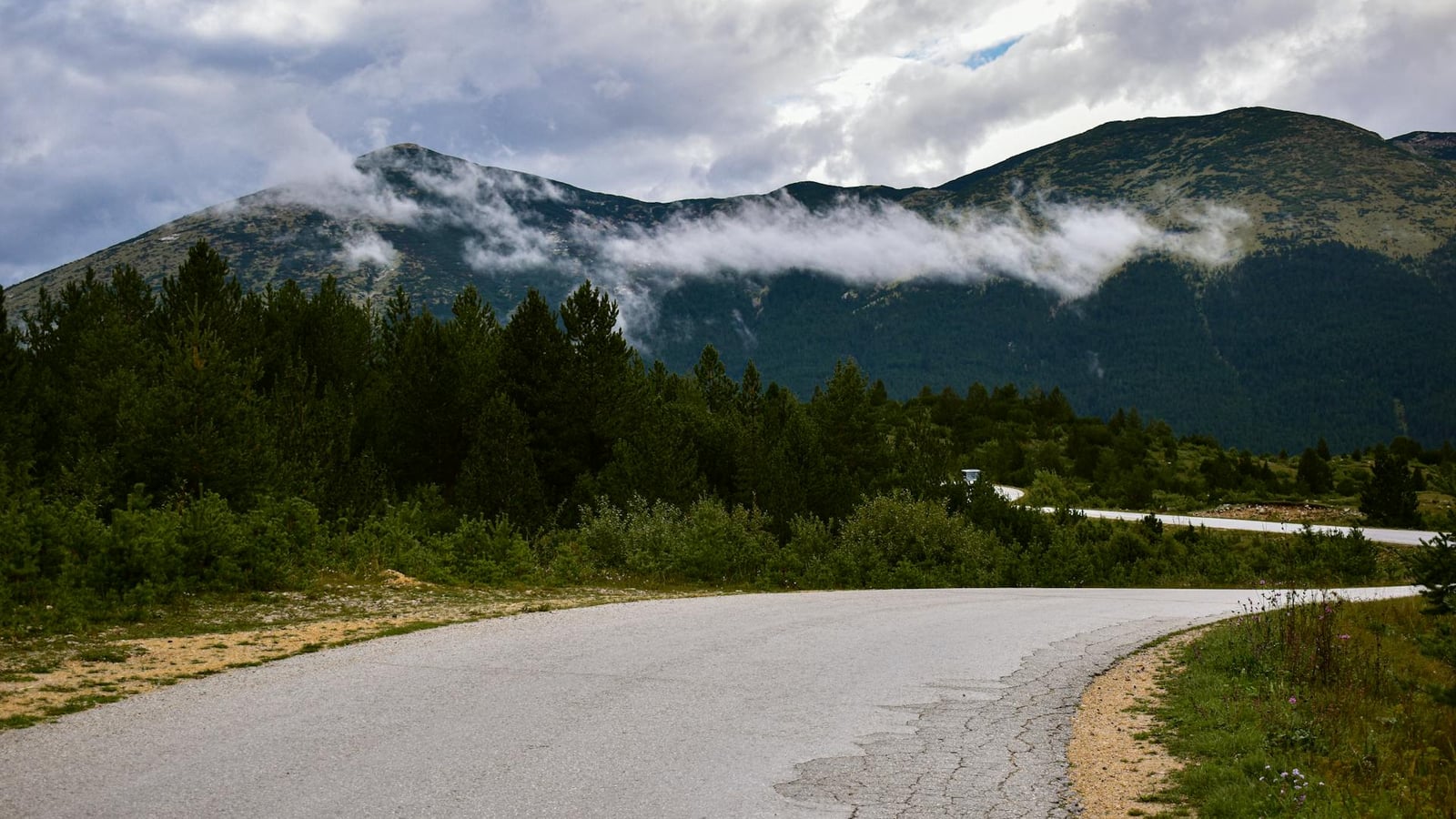 Road curving through Montenegro mountains