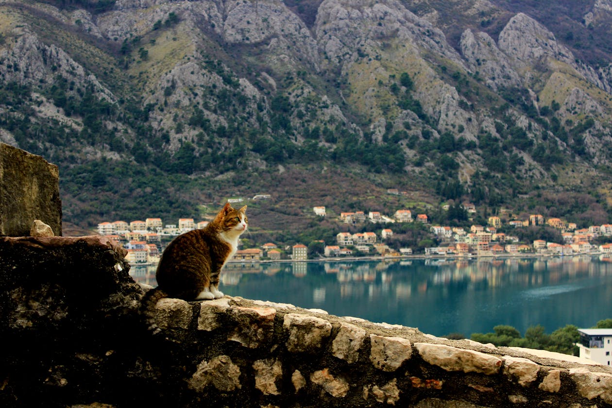View from the tip of the Luštica Peninsula toward Mamula island and the Bay of Kotor entrance, Montenegro