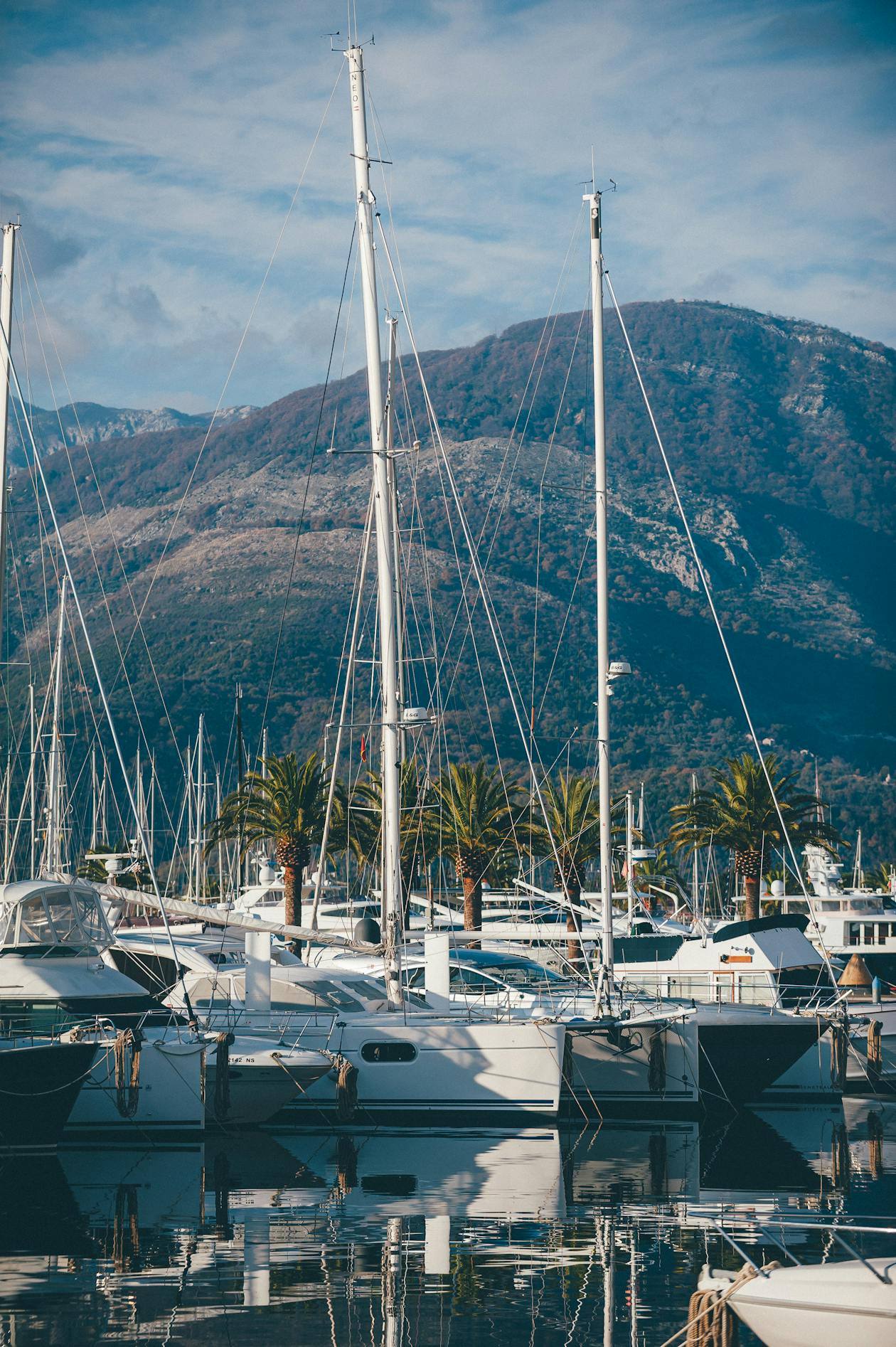 Porto Montenegro marina